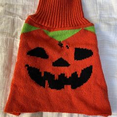 Dog Pumpkin Halloween Jumper Size S!