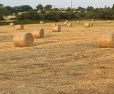 Hay bales