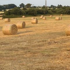 Hay bales