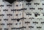 BNWT Black and Cream top