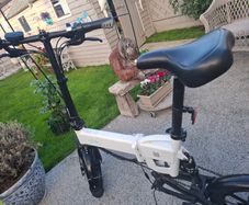 Electric bike  fiido D2S