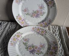 Royal Tara flower pattern plates