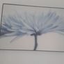large picture Image 4