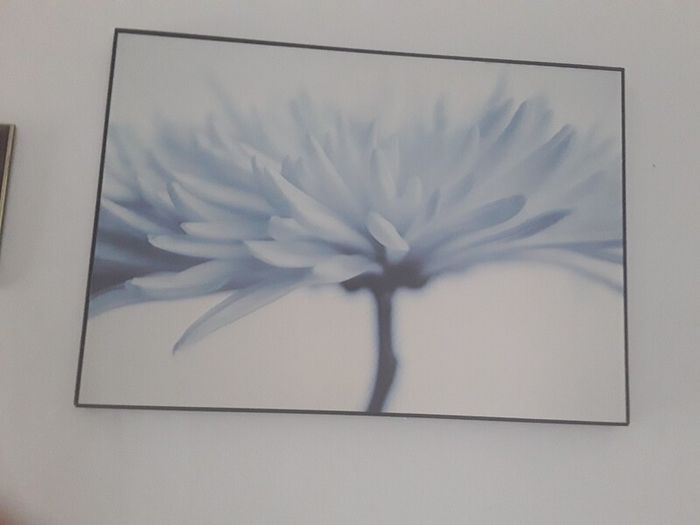 large picture