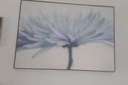 large picture