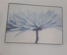 large picture