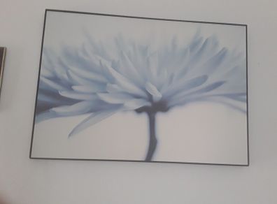 large picture