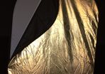 Reflector. 
