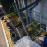 1000ltr Fish Tank Best Offer Takes It, Need It Gone Asap Image 5