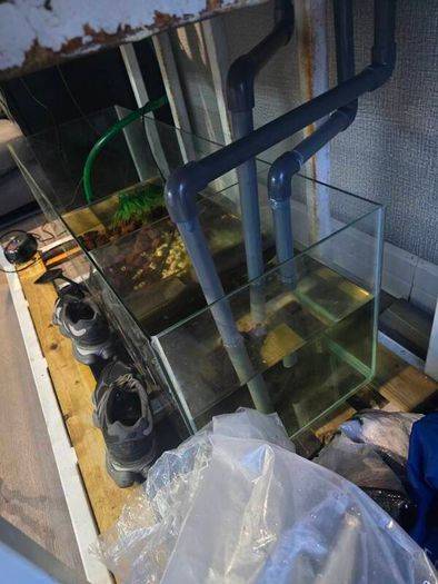 1000ltr Fish Tank Best Offer Takes It, Need It Gone Asap