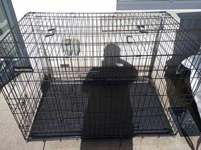 extra large dog travel crate