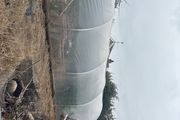 galvanised poly tunnel