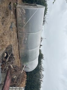 galvanised poly tunnel