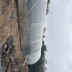 galvanised poly tunnel