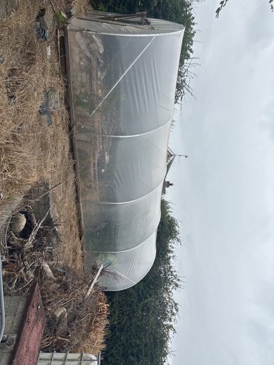 galvanised poly tunnel
