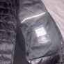 canada goose Image 4