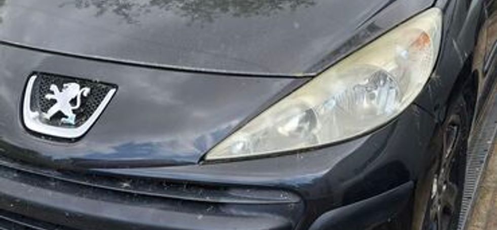 2009 Peugeot 207