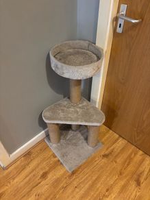 cat tree