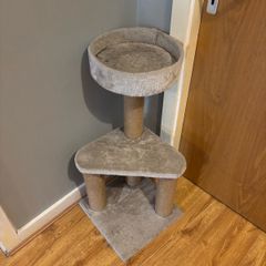 cat tree