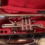 Vintage Strasser Marigaux Lemaire SML French Cornet Image 2