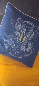 harry potter pillow