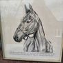Arkle Framed Drawing/Print Image 10