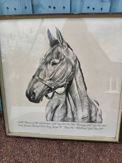 Arkle Framed Drawing/Print
