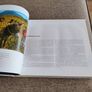 Return to Sender Revisiting John Hindes Ireland by Paul Kelly over 200 old photos that were used on old postcards hardback in very good condition FREE STANDARD POSTAGE INCLUDED Image 6