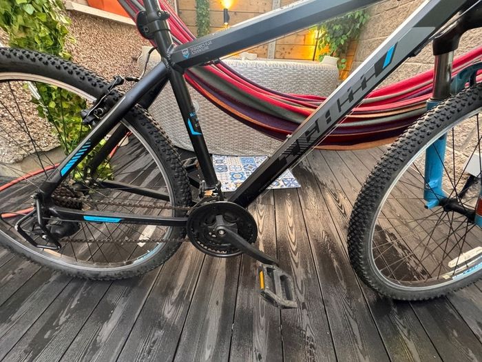 Team Hardtail bike