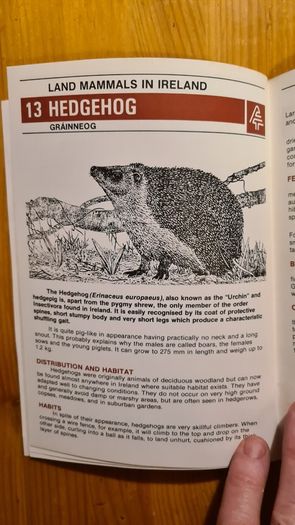 Land Mammals In Ireland. Issued By Forest And Wildlife Service. Leesonane Dublin. Booklet.1986.