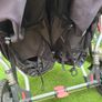 Out n About Nipper 360 Double Buggy Image 2