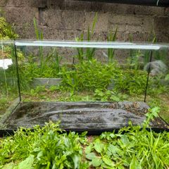aquarium - side glass cracked