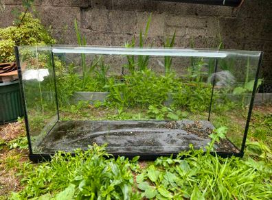 aquarium - side glass cracked