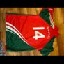 mayo gaa jersey Image 2