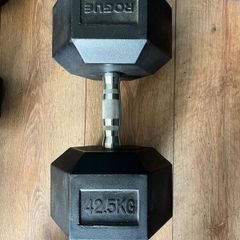 (1) 42.5 KG Dumbbell