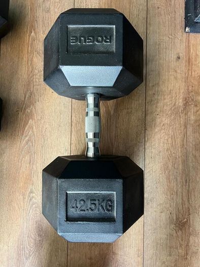 (1) 42.5 KG Dumbbell
