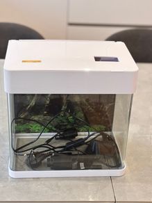 Betta life fish tank