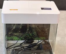 Betta life fish tank