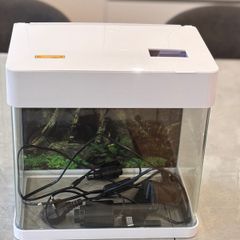 Betta life fish tank