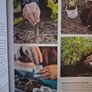 Grow Food For Free / Huw Richards / 2020 Image 9