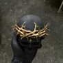 Skull with Crown of Thorns Image 2