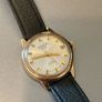 Swiss Astor 17 Jewel Gold Men's Watch Image 2