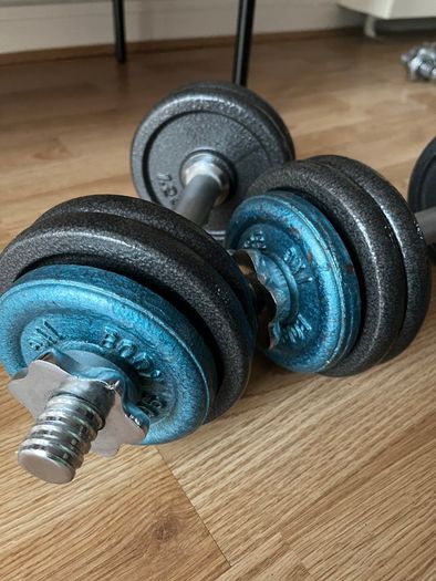 2x 9kg cast iron dumbbells