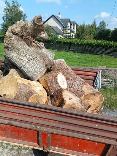 firewood