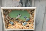 Shadow Box