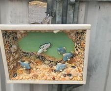 Shadow Box