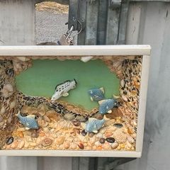 Shadow Box