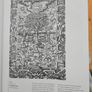 The Book Of Trees. Visualising Branches Of Knowledge. By Manuel Lima. Large Volume First Edition Hardback In Good Condition.  See Photos For Same. Image 9