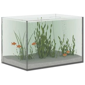 Glass Aquarium