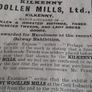 the irish nation papper Image 4